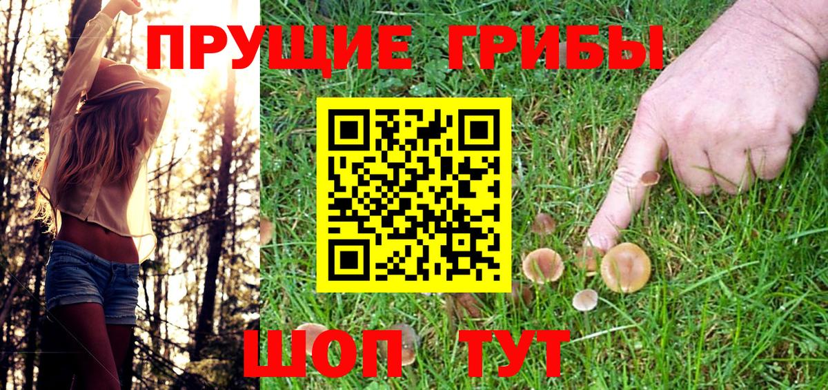 сколько стоит  Вход с VPN  Сосновоборск  Галлюциногенные грибы MAGIC MUSHROOMS 